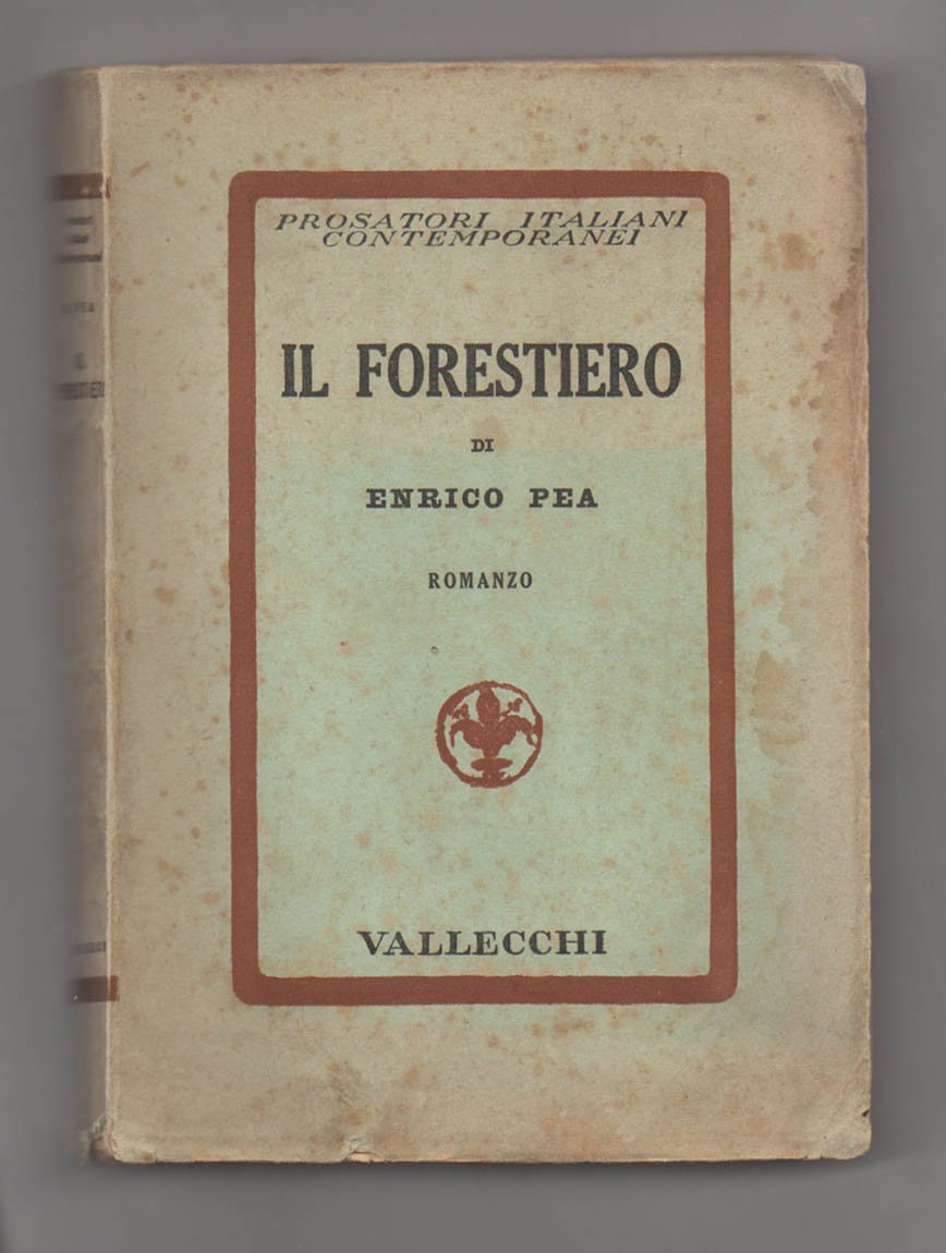 Il Forestiero. Romanzo