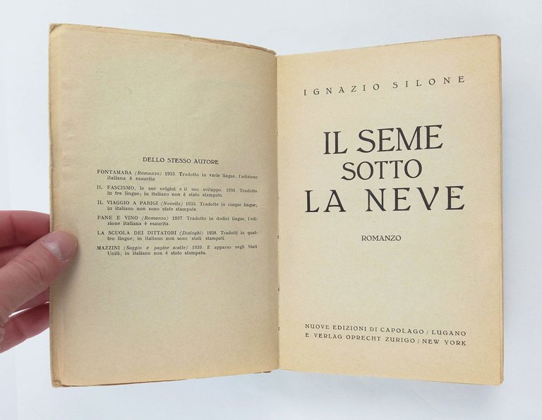 Il seme sotto la neve