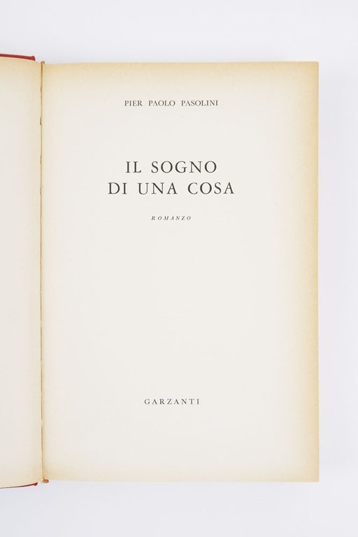 Il sogno di una cosa. Romanzo