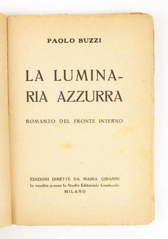 La luminaria azzurra. Romanzo del fronte interno