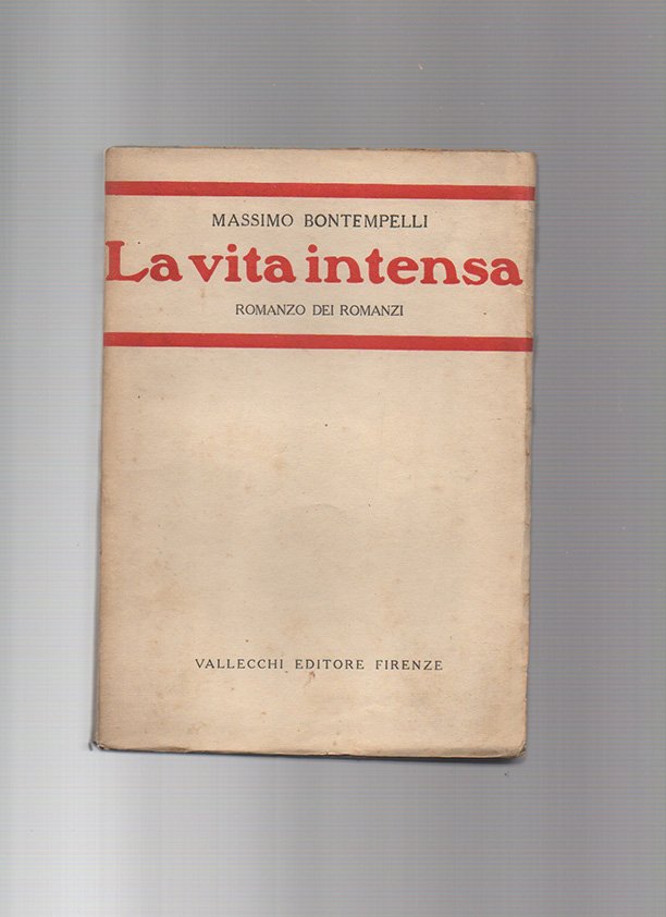 La vita intensa. Romanzo dei romanzi