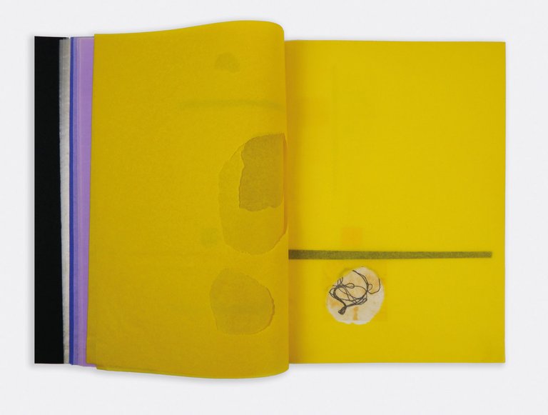 [Libro illeggibile n. 15] | Immagine Gallery 5