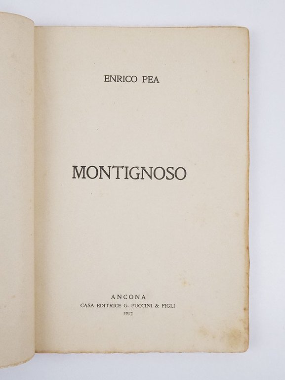 Montignoso