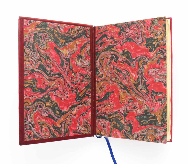 Opium. Journal d’une désintoxication. Dessins de l’auteur