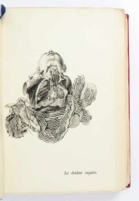 Opium. Journal d’une désintoxication. Dessins de l’auteur