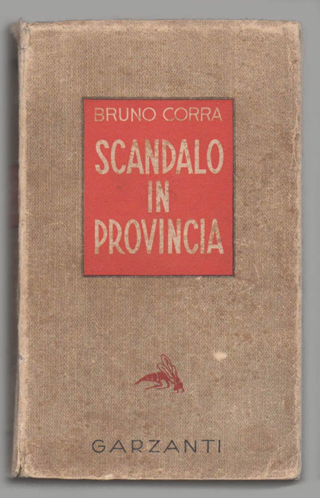 Scandalo in provincia. Romanzo