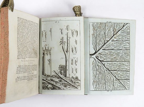 Traité des jardins, ou Le Nouveau De La Quintinye . …