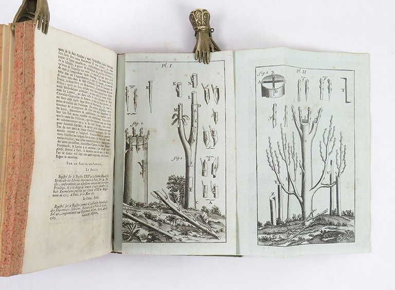 Traité des jardins, ou Le Nouveau De La Quintinye . …