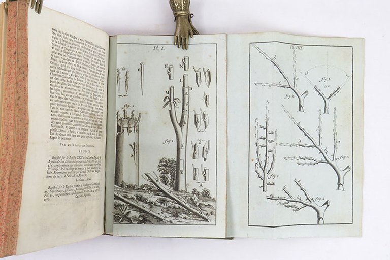 Traité des jardins, ou Le Nouveau De La Quintinye . …