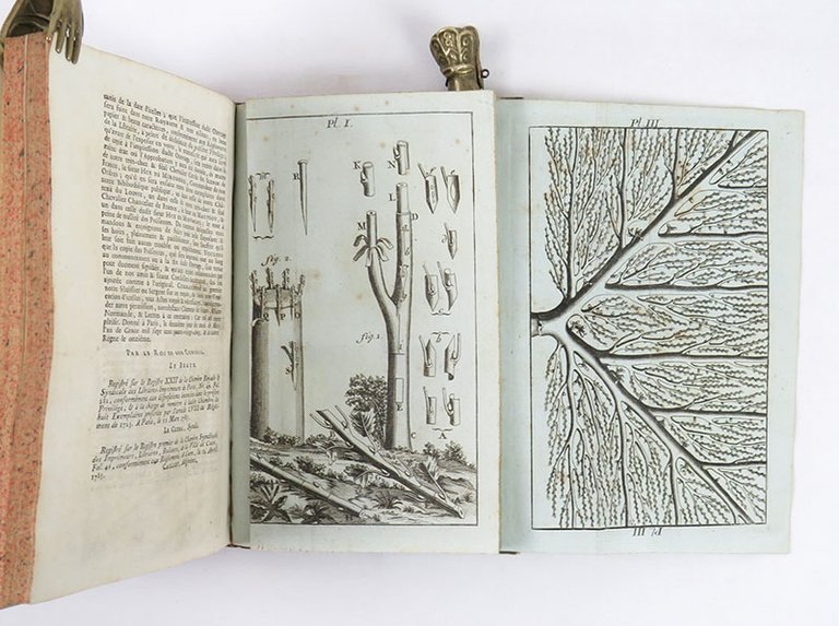 Traité des jardins, ou Le Nouveau De La Quintinye . …