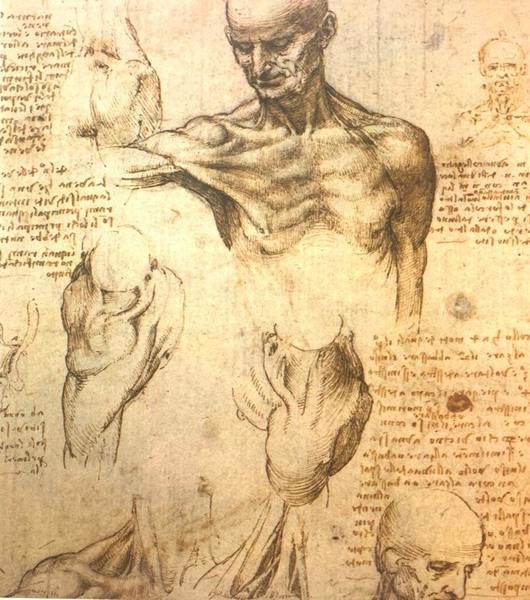 AA.VV. - Leonardo Da Vinci disegni anatomici - 1979