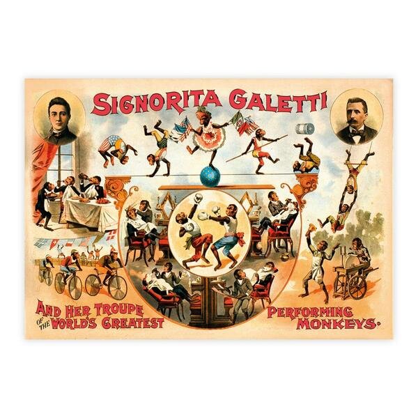 Signorita Galetti - Performing Monkeys