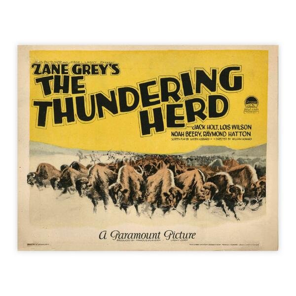 Zane Grey's - The Thundering Herd