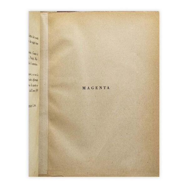 Aa. Vv. - La battaglia di Magenta