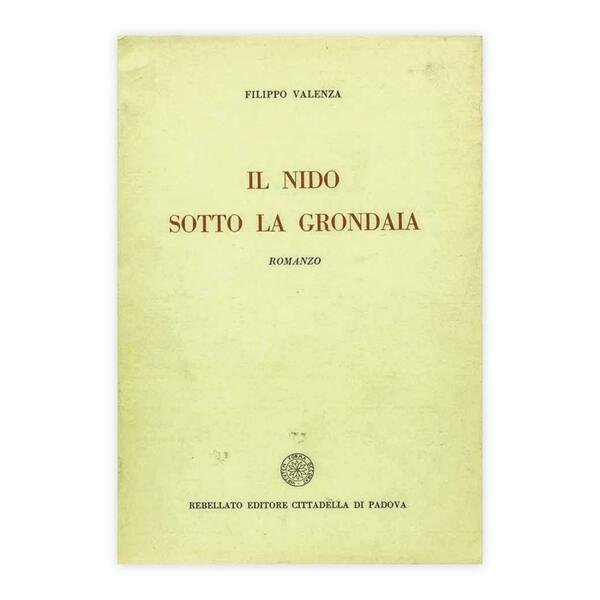Filippo Valenza - Il nido sotto la grondaia