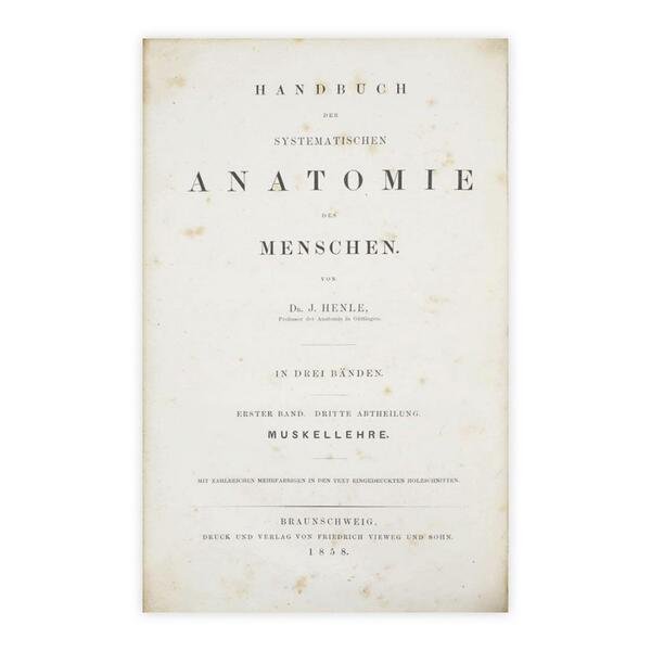 J. Henle - Handuch der systematischen anatomie des menschen