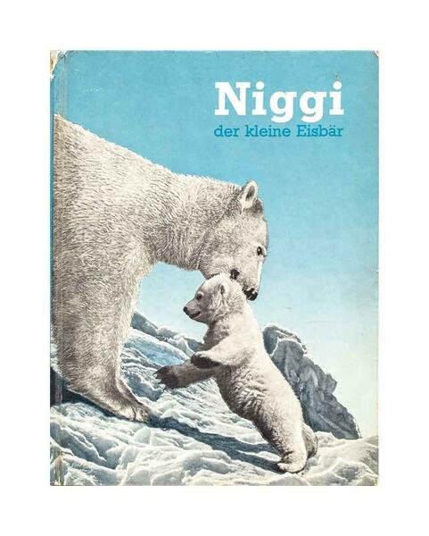 Niggi der kleine Eisbar