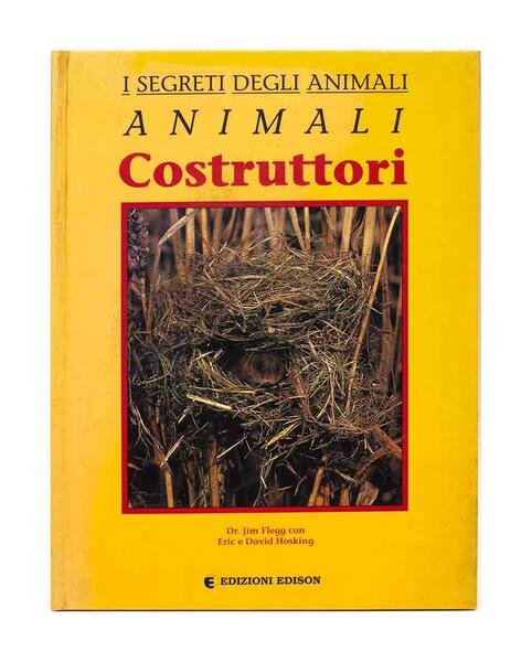 Animali costruttori