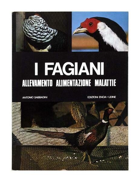 Antonio Sabbadini - I Fagiani