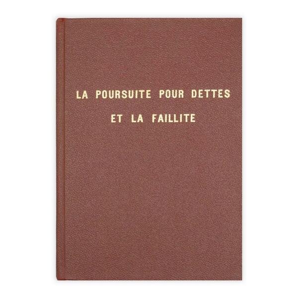 La pouirsuite puor dettes et la faillite
