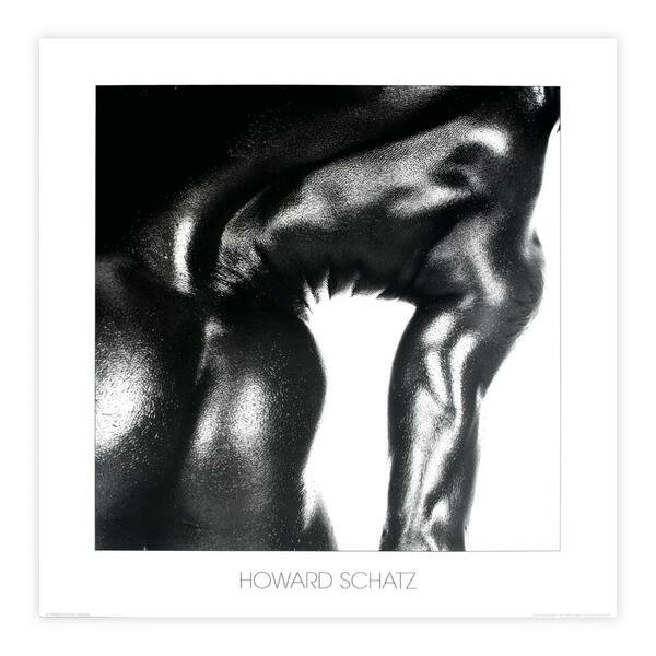 Stampa fotografica Howard Schatz