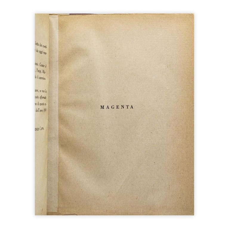 Aa. Vv. - La battaglia di Magenta