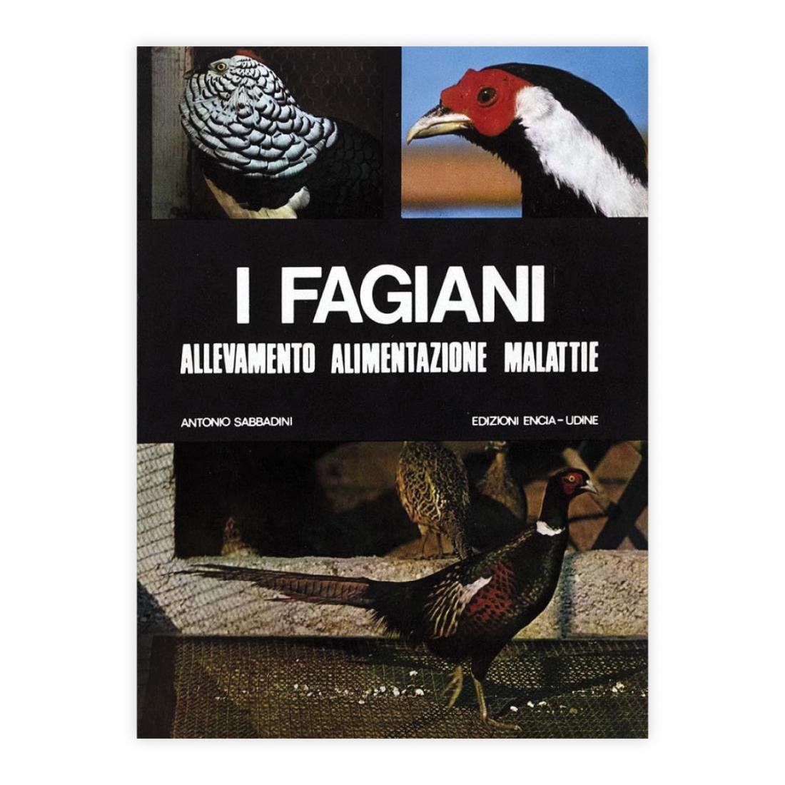 Antonio Sabbadini - I Fagiani