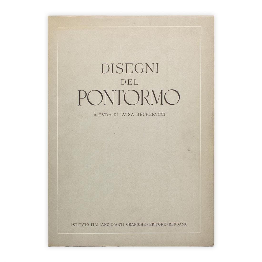 Disegni del Pontormo