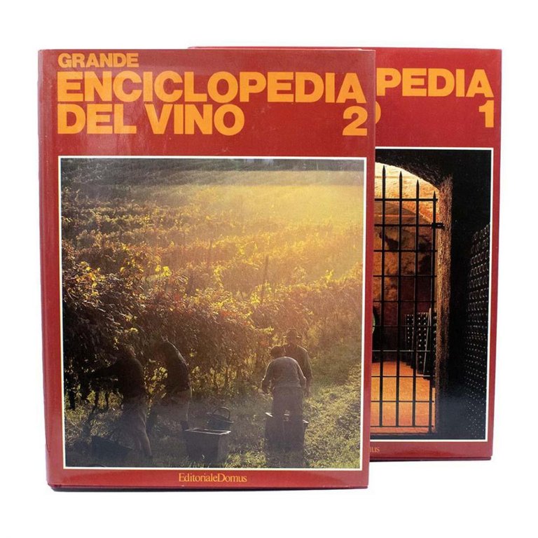 Grande enciclopedia del vino - 2 Volumi