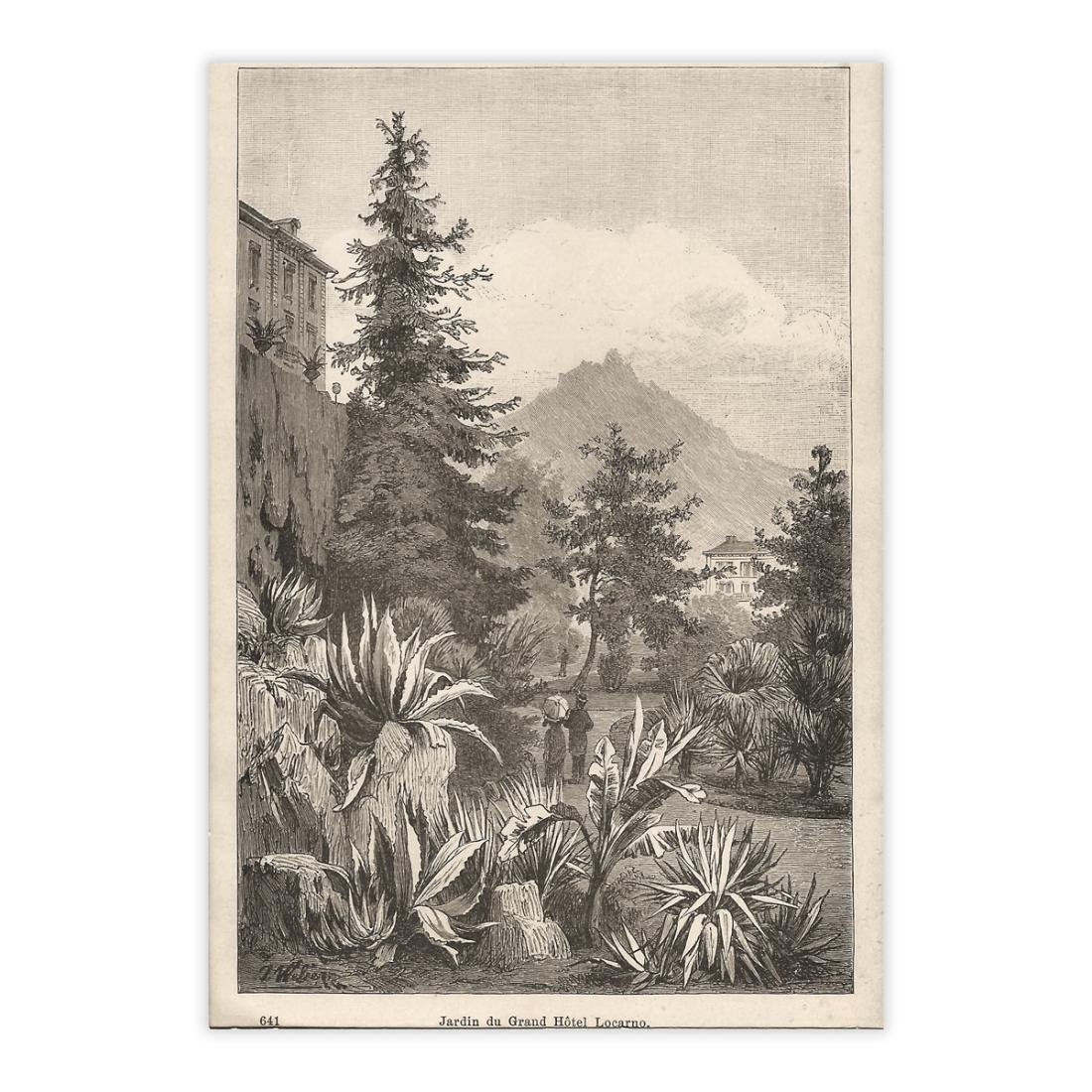 Locarno, Jardin du Grand Hotel - Anno 1884