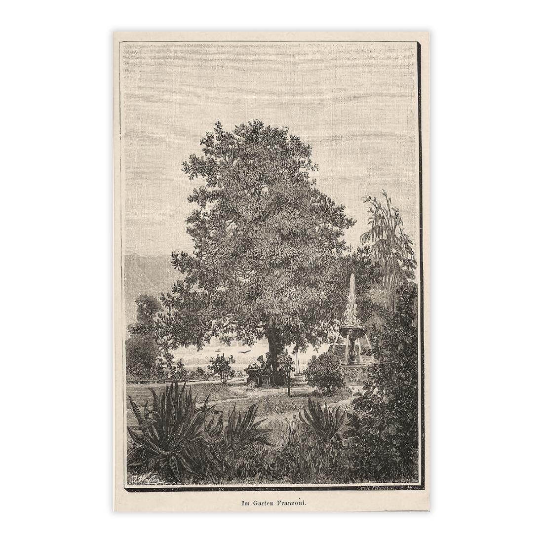 Lugano, giardino Franzoni - Anno 1888