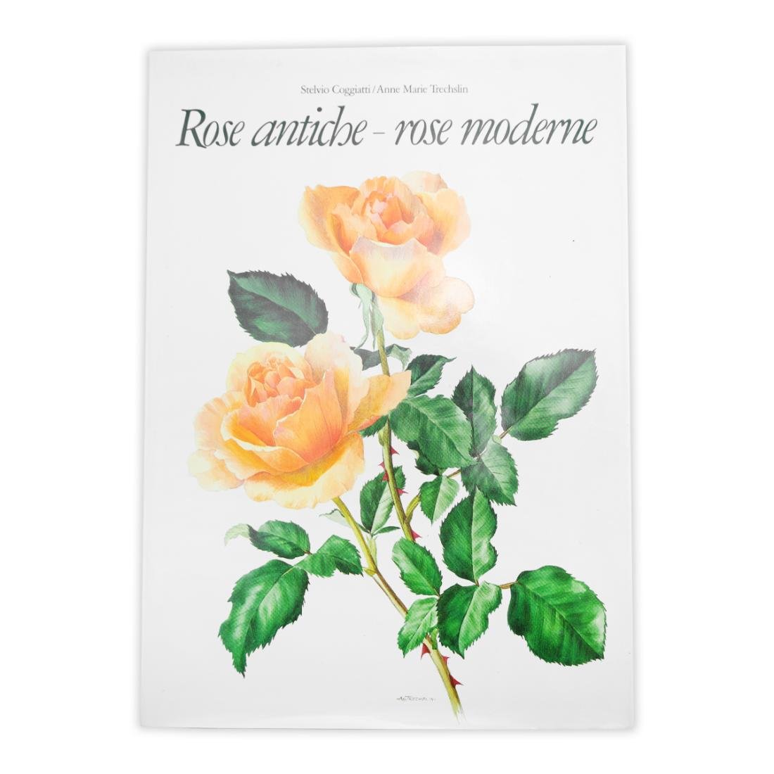 Rose antiche - Rose moderne - Coggiatti & Trechslin 1985 | Immagine principale