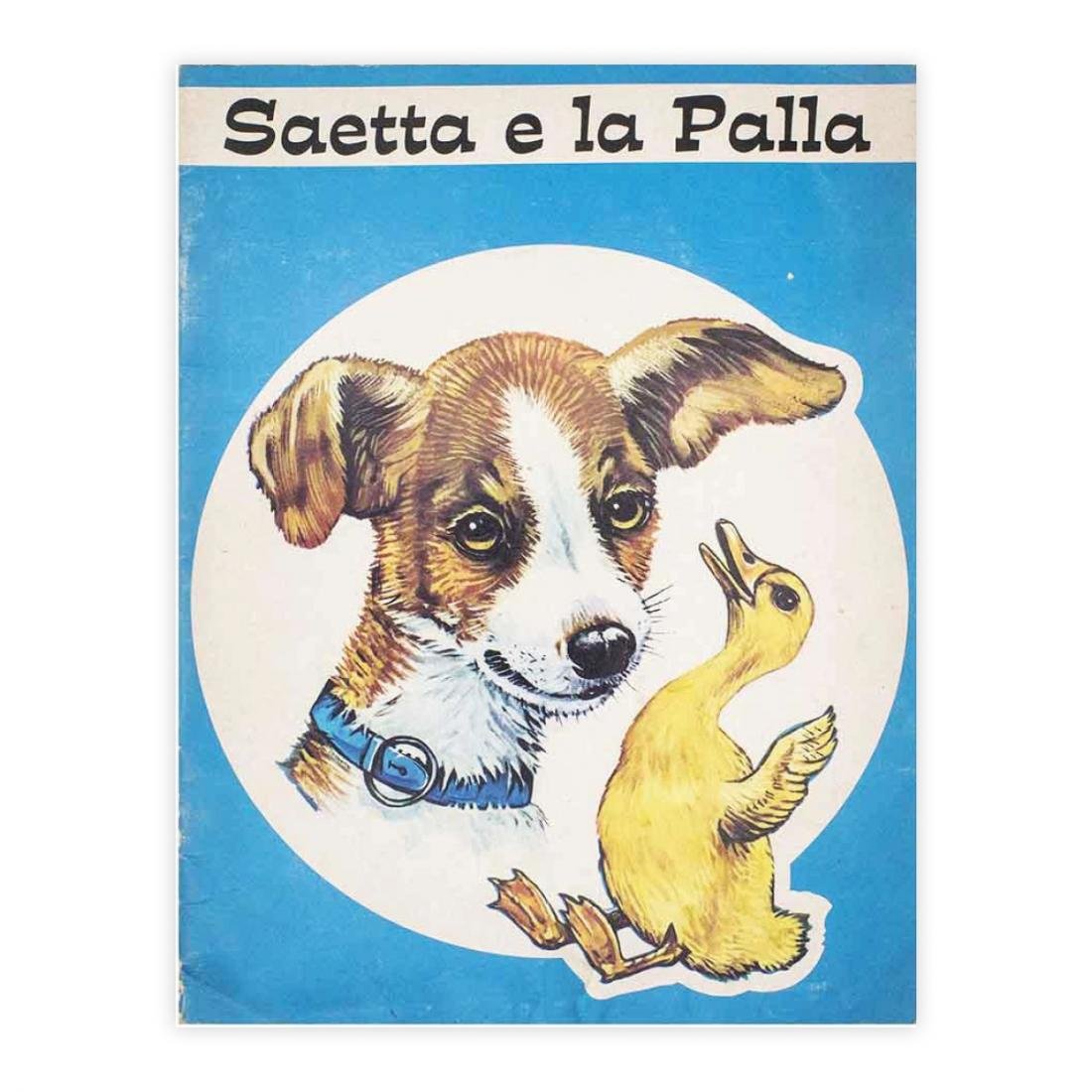 Saetta e la palla