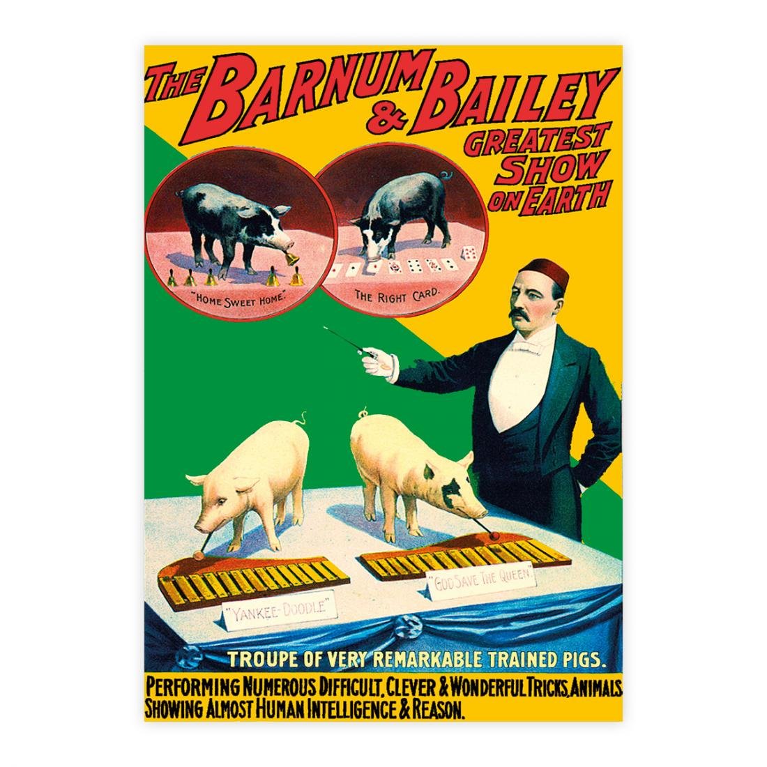 The Barnum and Bailey - Greatest show on Earth