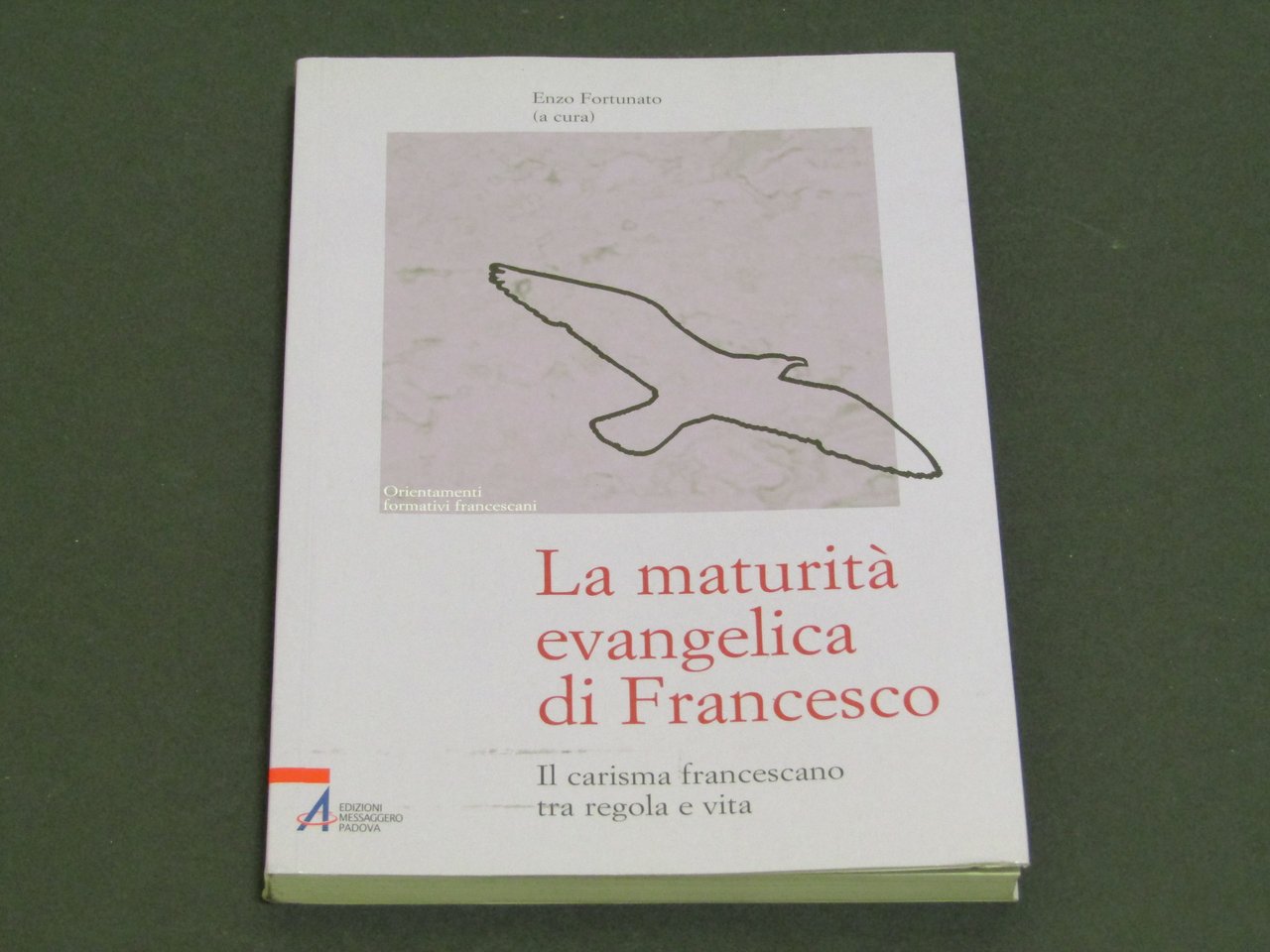 a cura di Enzo Fortunato. La maturità evangelica di Francesco | Immagine principale