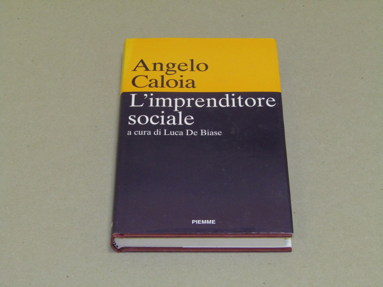 a cura di Luca De Biase. L'imprenditore sociale