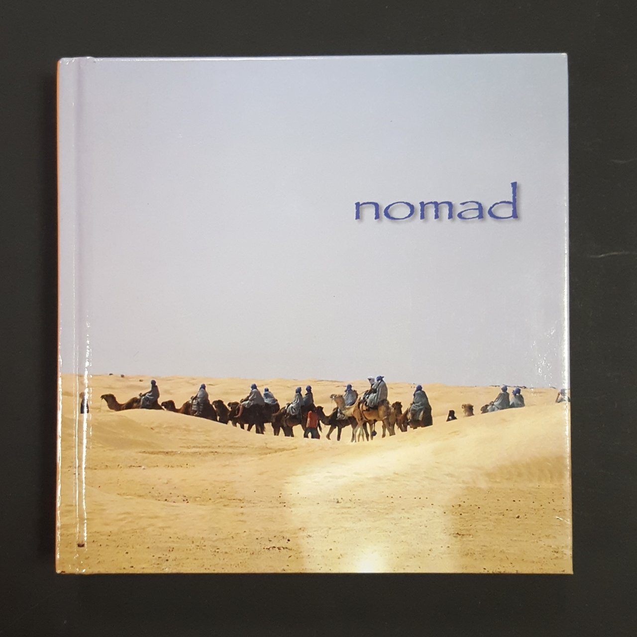 AA. VV. Granelli di viaggi. 2008 - I. Con dedica …