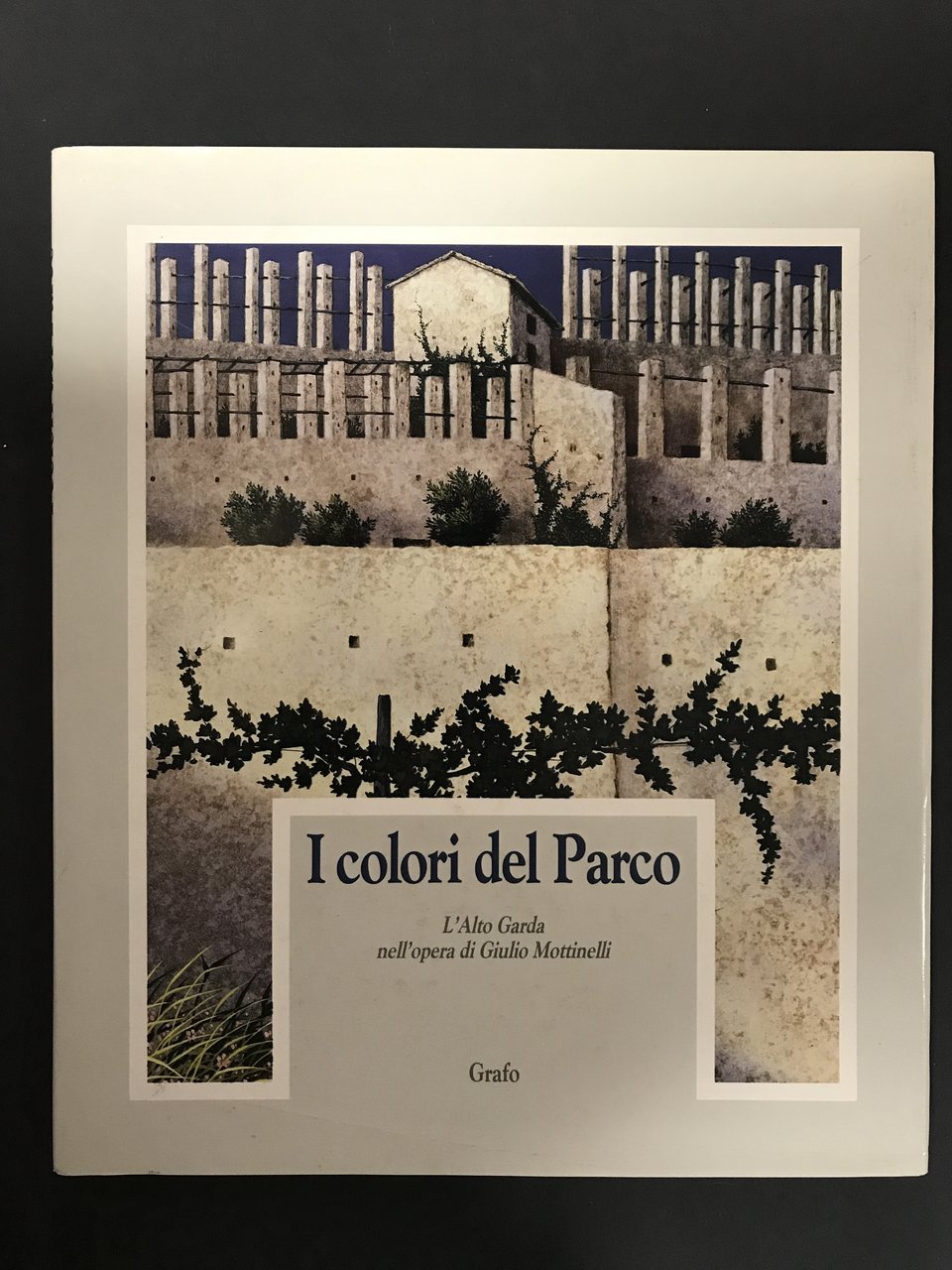 AA.VV. I colori del parco. Grafo Edizioni. 1989 | Immagine principale