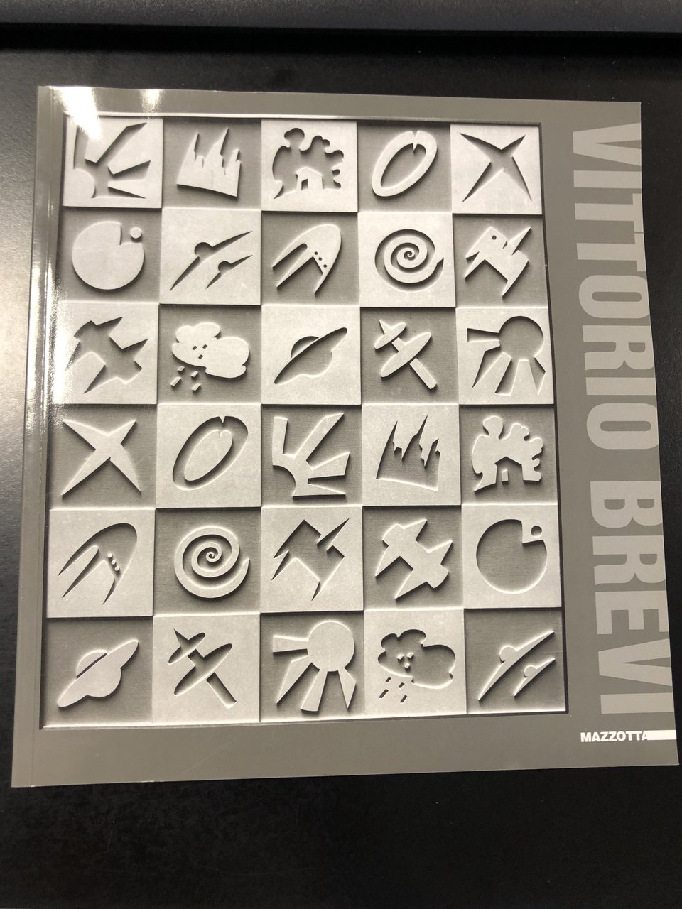 AA. VV. Imer Guala. Immagini filtrate nel tempo. Edizioni Eupalino, …