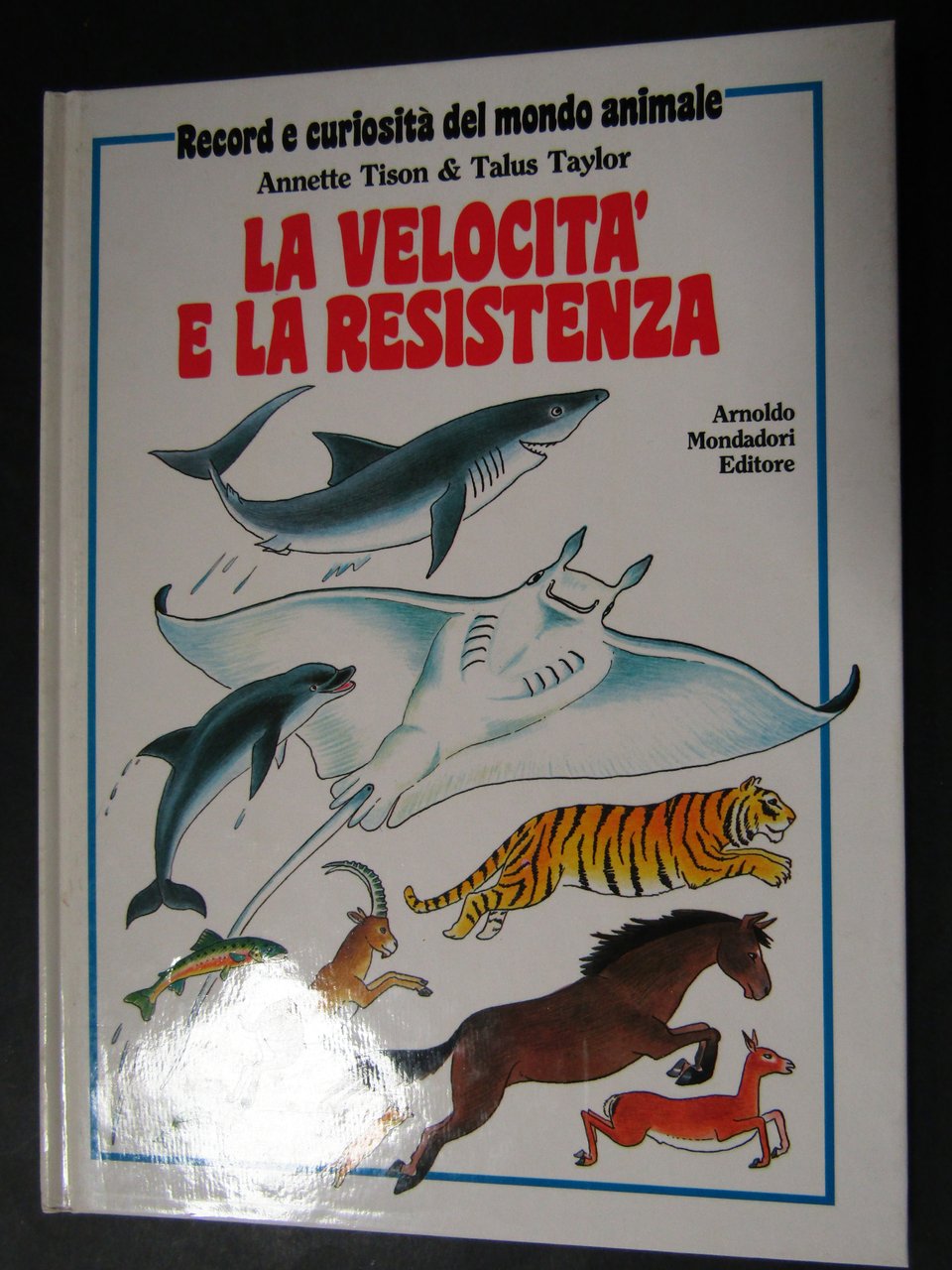 AA.VV. La velocità e la resistenza. Mondadori.