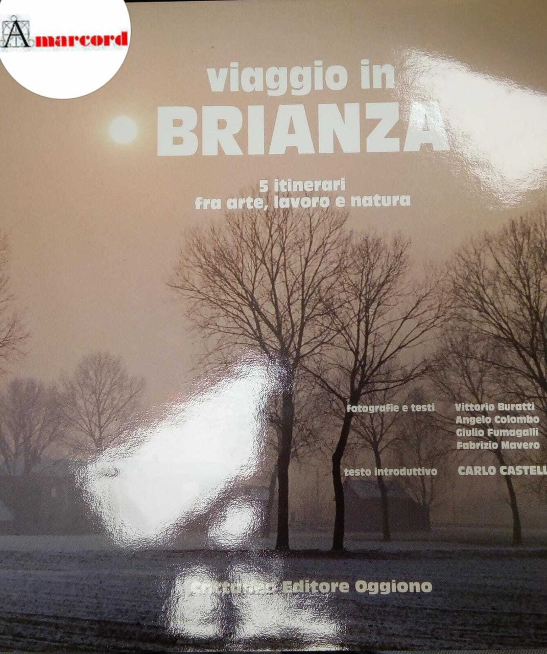 AA.VV., Viaggio in Brianza. 5 itinerari fra arte, lavoro, natura. …