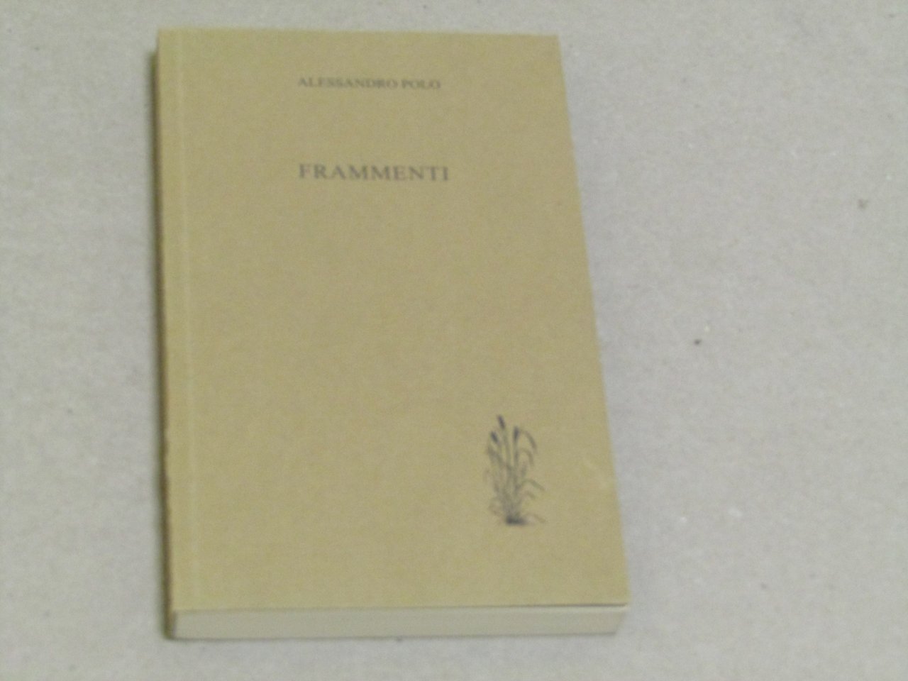 Alessandro Polo - Frammenti | Immagine principale