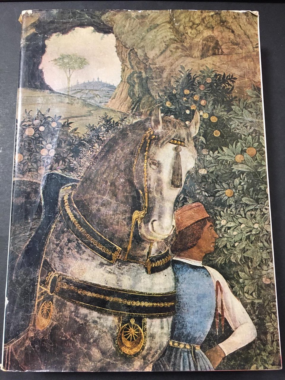 Andre Mantegna. A cura di Paccagnini Giovanni. Neri pozza editore. …