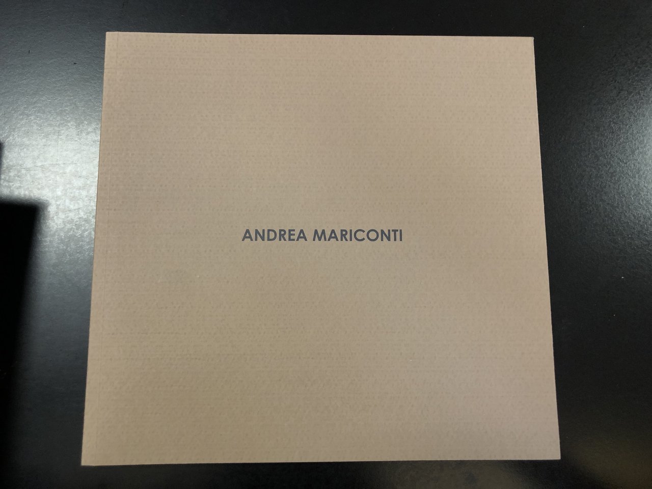 Andrea Mariconti. Quia pulvis. Pittura Italiana 2007.