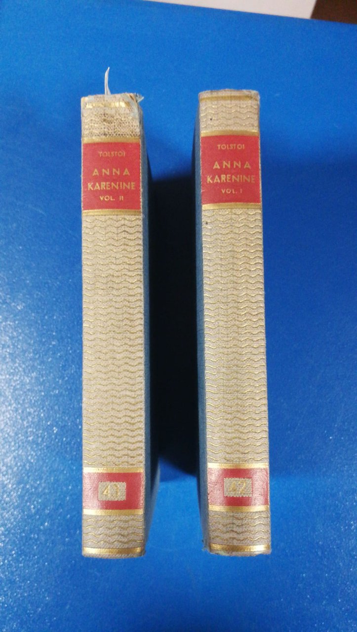ANNA KARENINE VOL. 1- 2 | Immagine principale
