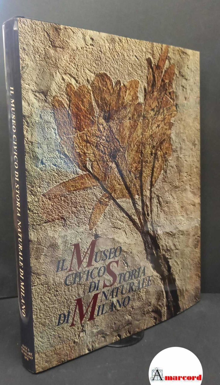 Banfi, Enrico. , Conci, Cesare. �Il �Museo civico di storia …