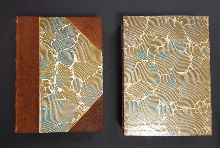 Beltrami Luca (a cura di). Luini 1512-1532. Tipografia Allegretti. 1911. … | Immagine Gallery 1