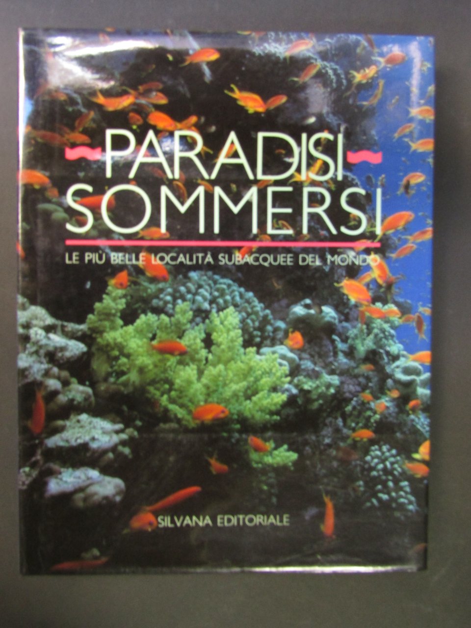 Boye Robert. Paradisi sommersi. Silvana editoriale 1989.