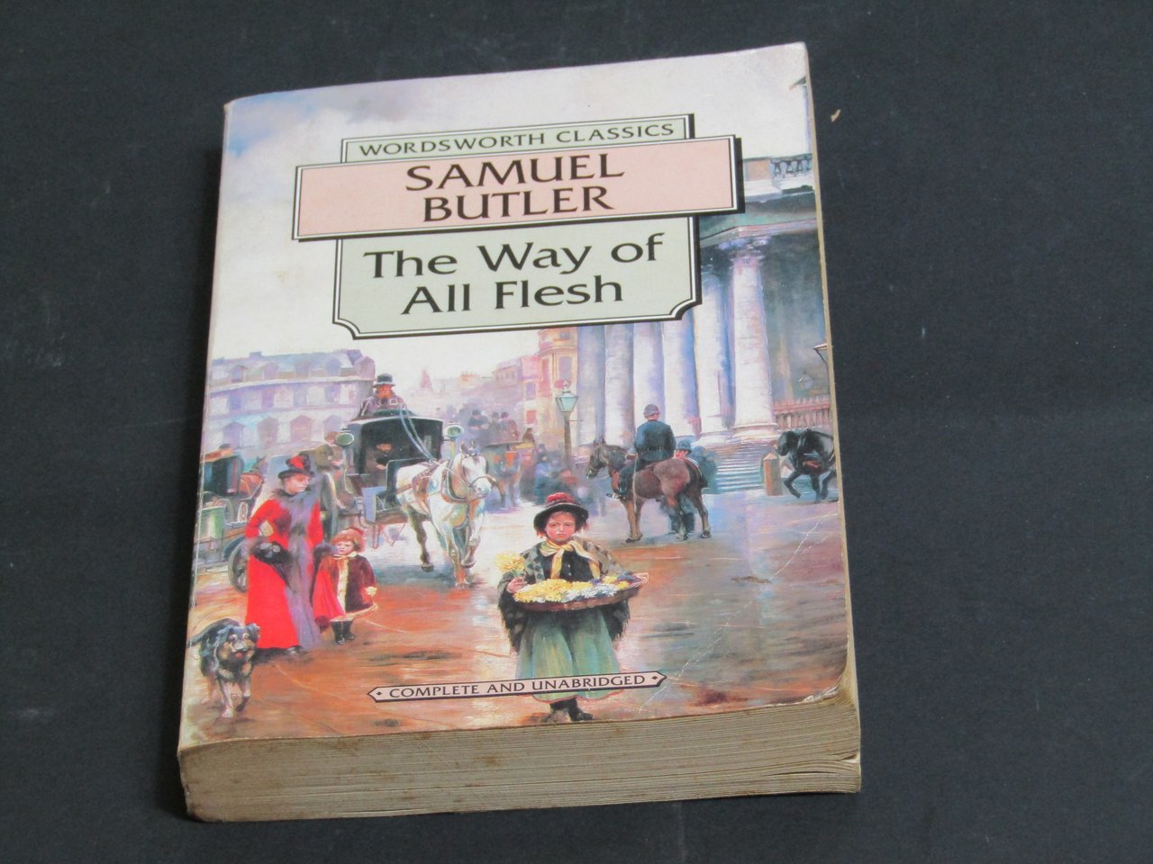 Butler Samuel. The Way of All Flesh. Wordsworth Editions 1994.