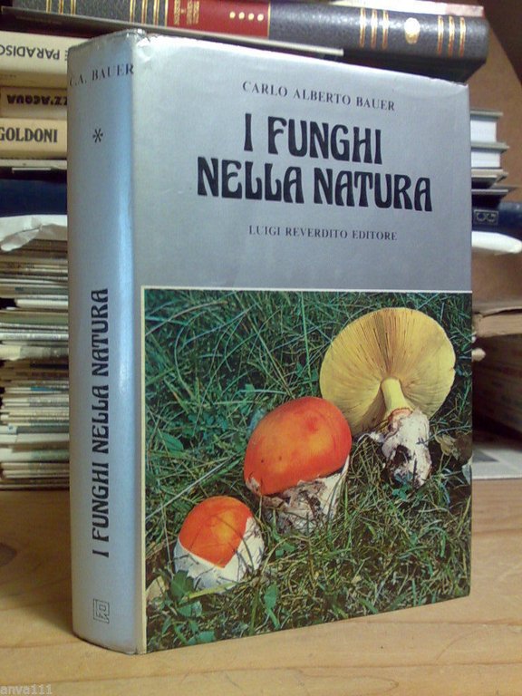 Carlo Alberto Bauer - I FUNGHI NELLA NATURA - 1980